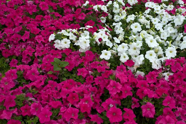 Comparatif des meilleurs perforateurs burineurs 2024