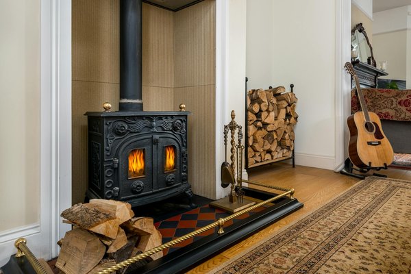 Découvrez le bouton de rose noël : un charme intemporel